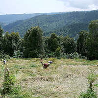 Photo de Bali - Autour de Munduk